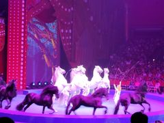 -珠海横琴长隆《卡卡虎奇遇记》