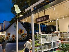 -大梅沙海滨公园