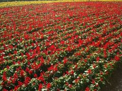 -乐享养生(东湖店)