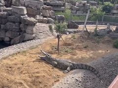 -石家庄市动物园