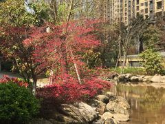 -艾溪湖湿地公园