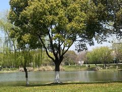 -九里河湿地公园