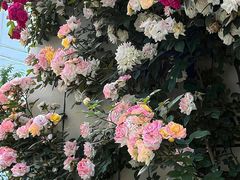 -霸碗盖码饭(长沙金星路步步高店)