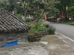-重庆睡佛山森林公园