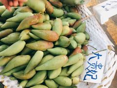 -三亚新鸿港水果一级批发市场