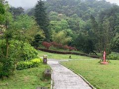 -缙云山景区