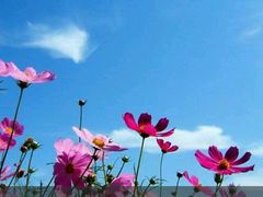 -天鹅湖生态旅游风景区