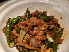 -九毛九西北菜(百信广场店)