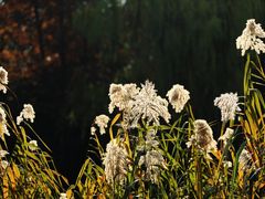 -石湖景区