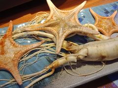 -千岛蚝高压锅生蚝·人参火锅(白云万达店)