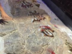 -白鹤梁水下博物馆