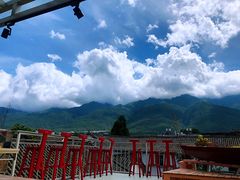 -喵屿·大理花园猫咖