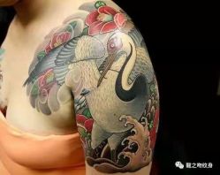 点击看大图 -龙之吻专业刺青·手工耳洞·纹身去色