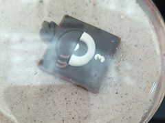 -GANSO元祖食品(大厂店)