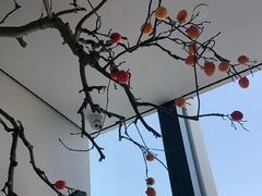 -杏花堂晋商私房菜(华熙五棵松店)