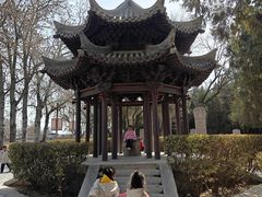 -赵州桥景区