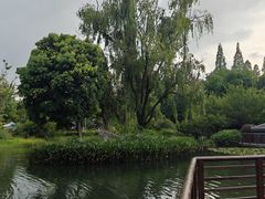 -成飞公园