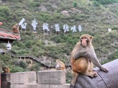 -白帝城·瞿塘峡景区