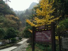 -太湖源风景区