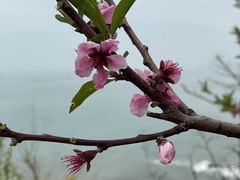 -大连金石滩滨海国家地质公园