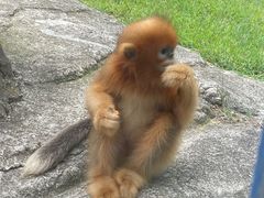 -大连森林动物园