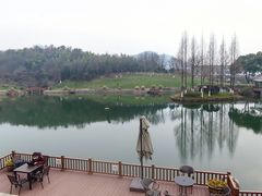 -龙吟九品(青龙山庄店)