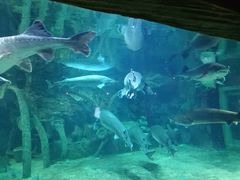 -华夏文旅海洋公园