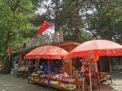 -大鹅岛绿色生态美食园
