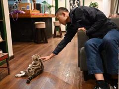 -参差咖啡(水果湖公园店)