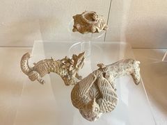 -北京动物园-畅观楼