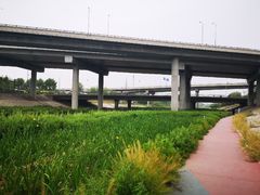 -石榴庄公园