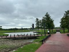 -春花秋色城市公园