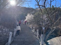 -北京凤凰岭