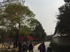 -秀丽东方