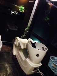 -史云逊养发中心