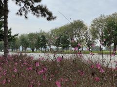 -汉长安城未央宫国家考古遗址公园