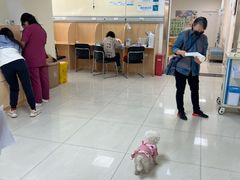 -美联众合动物医院·24h京西诊疗中心