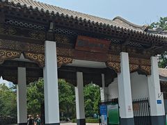 -团结湖公园