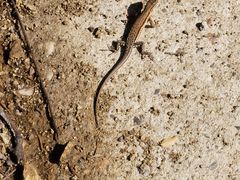 -蟠龙山长城景区