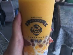 -茶百道(中医大省医院店)