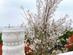 -铁道游击队纪念馆