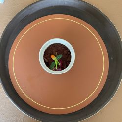 -新寰亚月子会所(金鸡湖凯宾店)