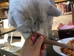 -小时光咖啡馆(开森度假森林店)