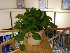 -蛙三泡椒牛蛙(万象城店)