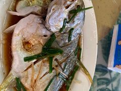 -四姑娘川味海鲜(八爪鱼店)
