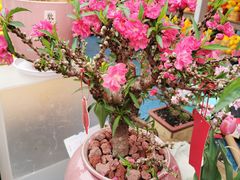 -天河体育中心