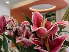 -玫瑰花园自助烤肉(金源店)