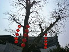 -雨花胜境