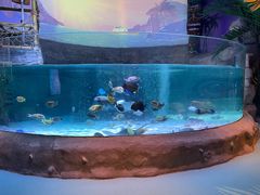 -沈阳海洋探索中心