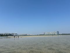 -北海金海湾红树林生态旅游区
